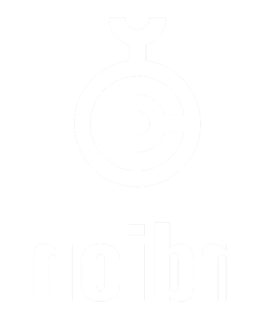 Ndion